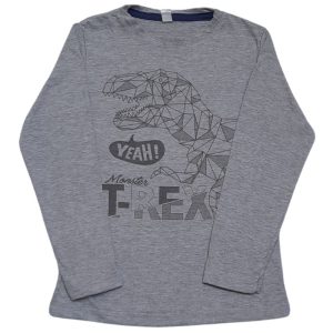 Camiseta Manga Longa Infantil Masculina Dinossauro T-Rex