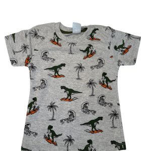 Camiseta Verão Infantil Masculina Dinossauro - Mescla