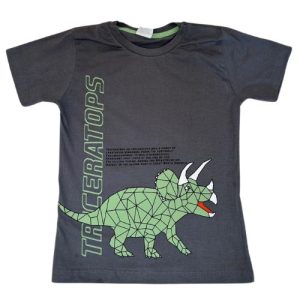 Camiseta Verão Infantil Masculina Dinossauro - Cinza