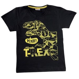 Camiseta Verão Infantil Masculina Dinossauro T- Rex - Preto