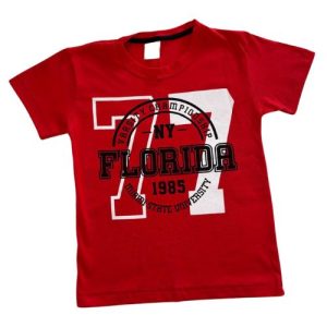 Camiseta Verão Infantil Masculina Florida NY - Vermelho