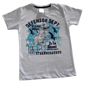 Camiseta Verão Infantil Masculina Defensor Dino - Branco